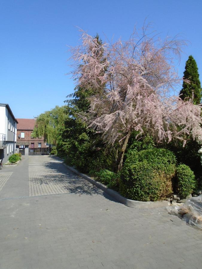 Villa Art Korab Gliwice Esterno foto
